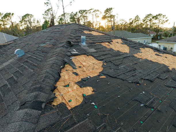 Best Wood Shake Roofing  in Cudahy, WI
